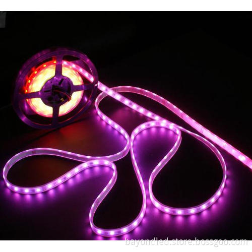 Amazing Full Color SMD 2811 Magic Flexible LED Strip